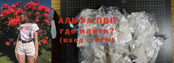 СК Семикаракорск